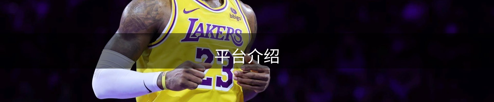 平台介绍